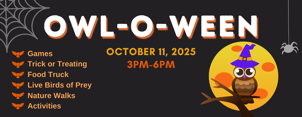 Owl-O-Ween